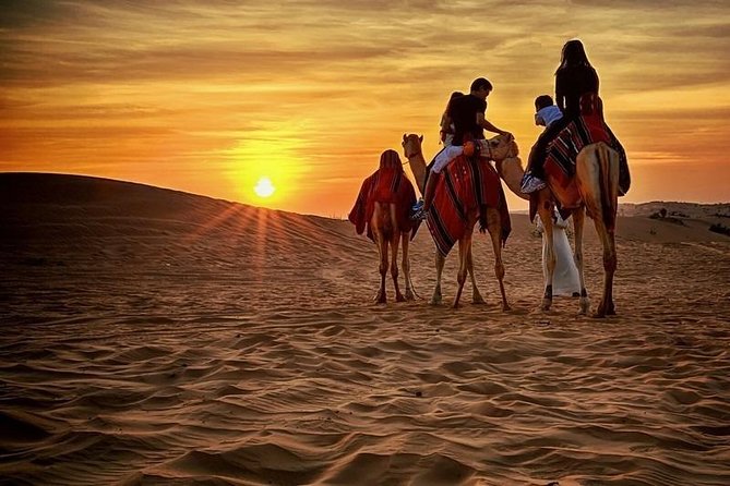 Morning Safari With Camel Ride And Sand-boarding 