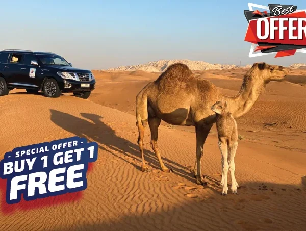 evening desert safari